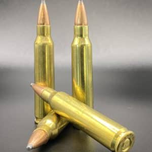 .223 REM 55gr SP ammo
